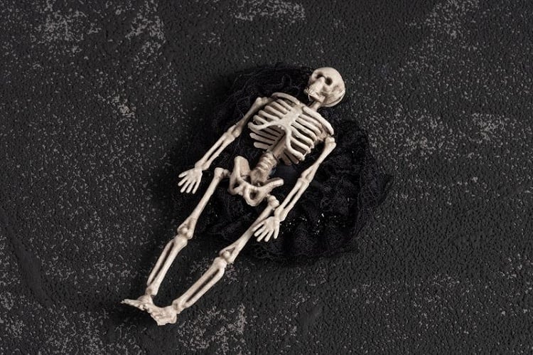 Gothic Skeleton Black Lace Hairclip