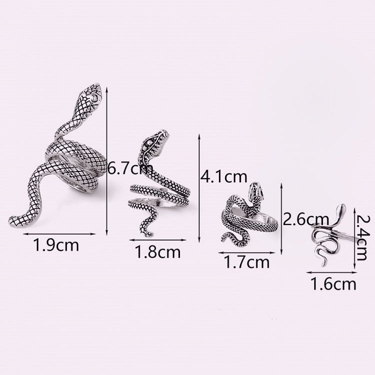 Silver Snake Ring Set