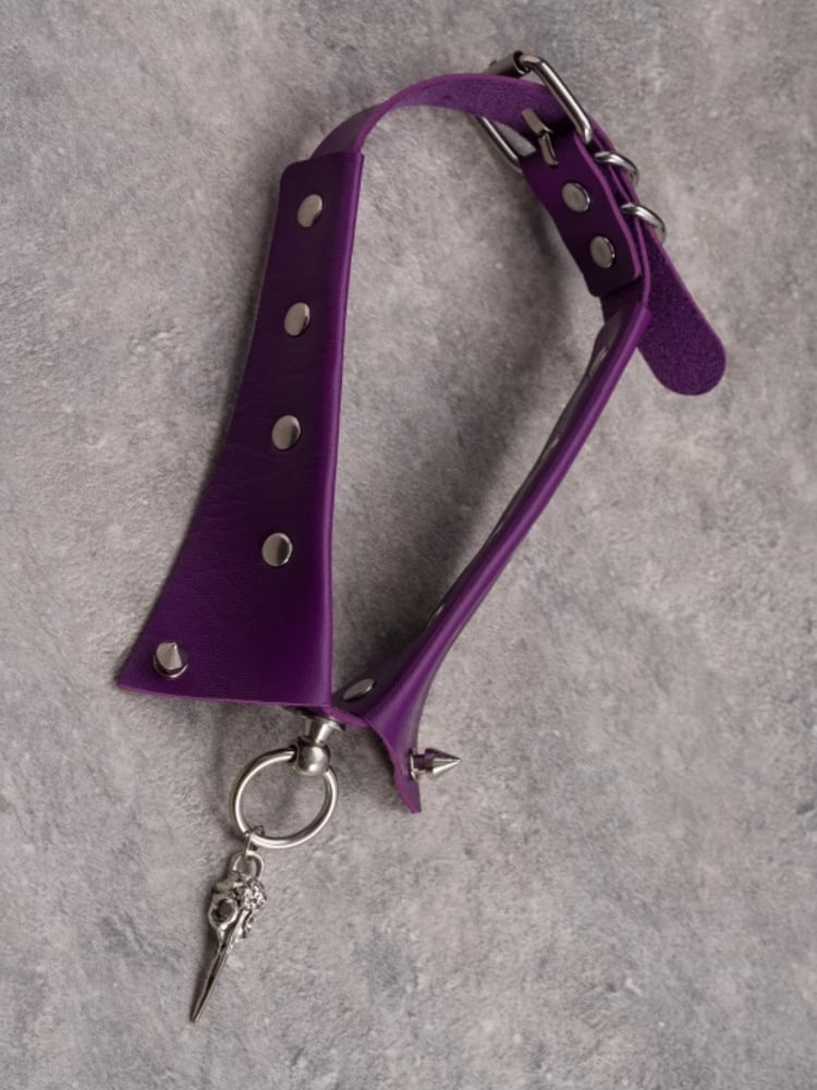 Purple Gothic Silver Bird Bone Pendant Studs Details Choker