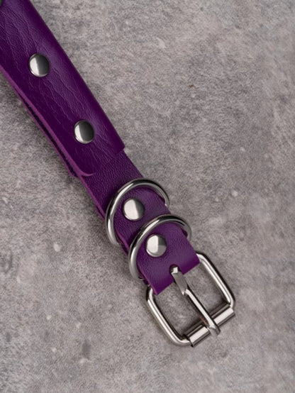 Purple Gothic Silver Bird Bone Pendant Studs Details Choker