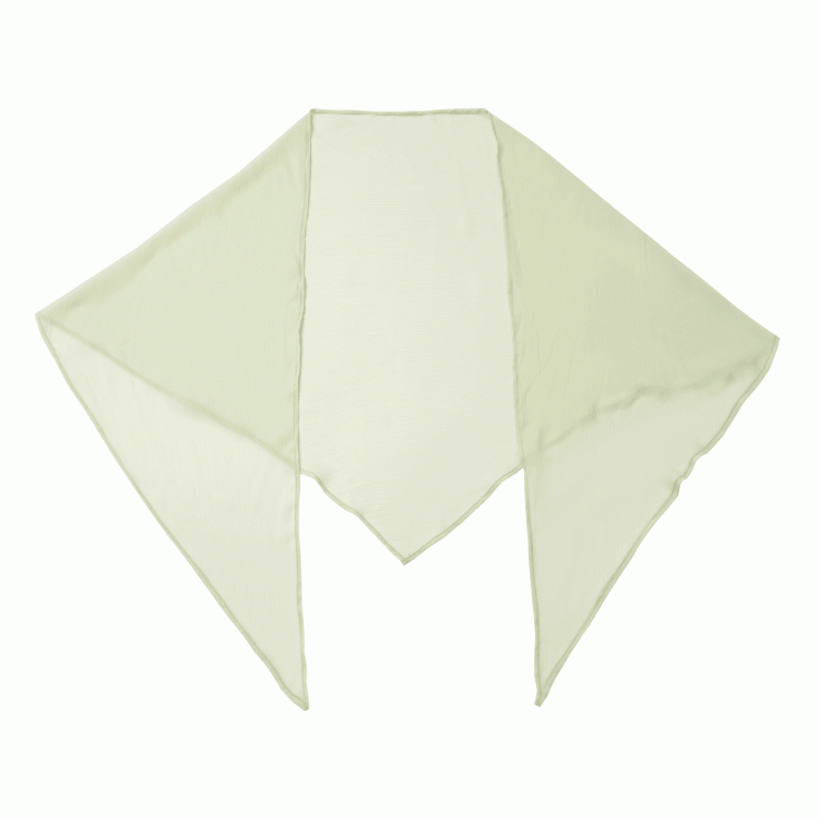 Light Green Shawl