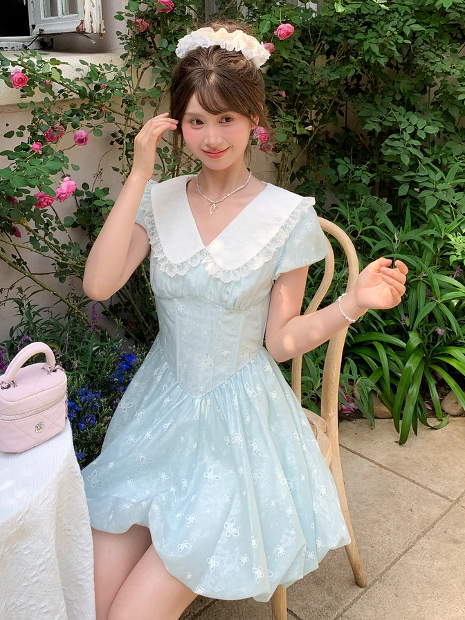 Blue Peter Pan Collar Basque Waist Allover Butterfly Embroidery Dress Bubble Skirt