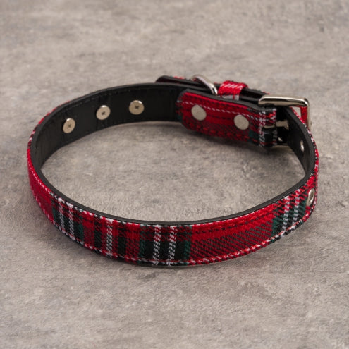 Gothic Red Plaid Studs Choker