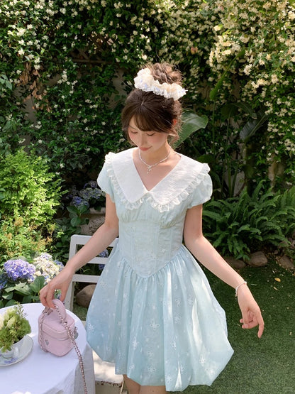 Blue Peter Pan Collar Basque Waist Allover Butterfly Embroidery Dress Bubble Skirt