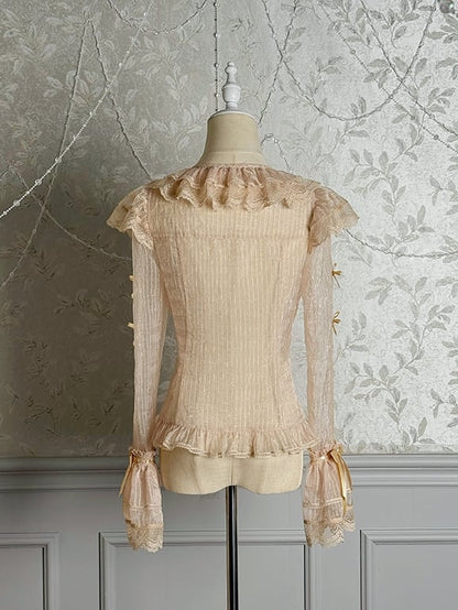 Champagne Semi-sheer Bowknots Long Sleeves Blouse