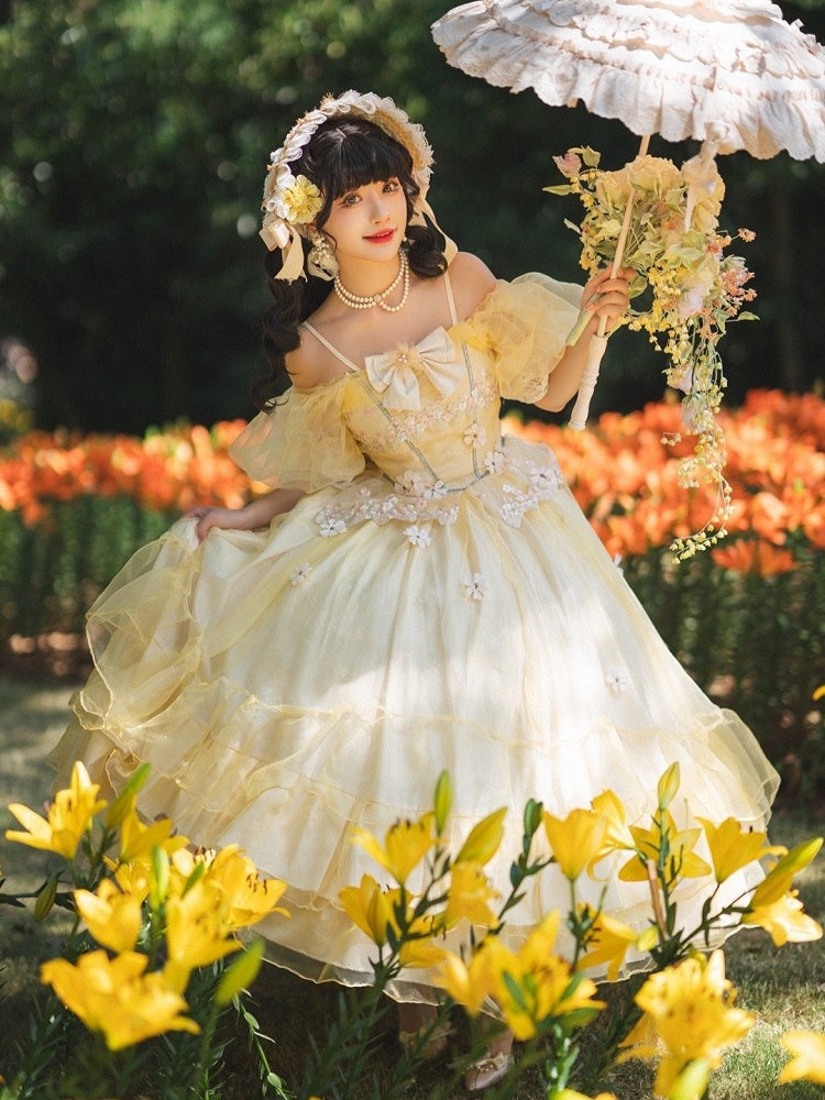 Plus Sizes Available Beauty and the Beast Vibes Floral Embroidery Princess Dress