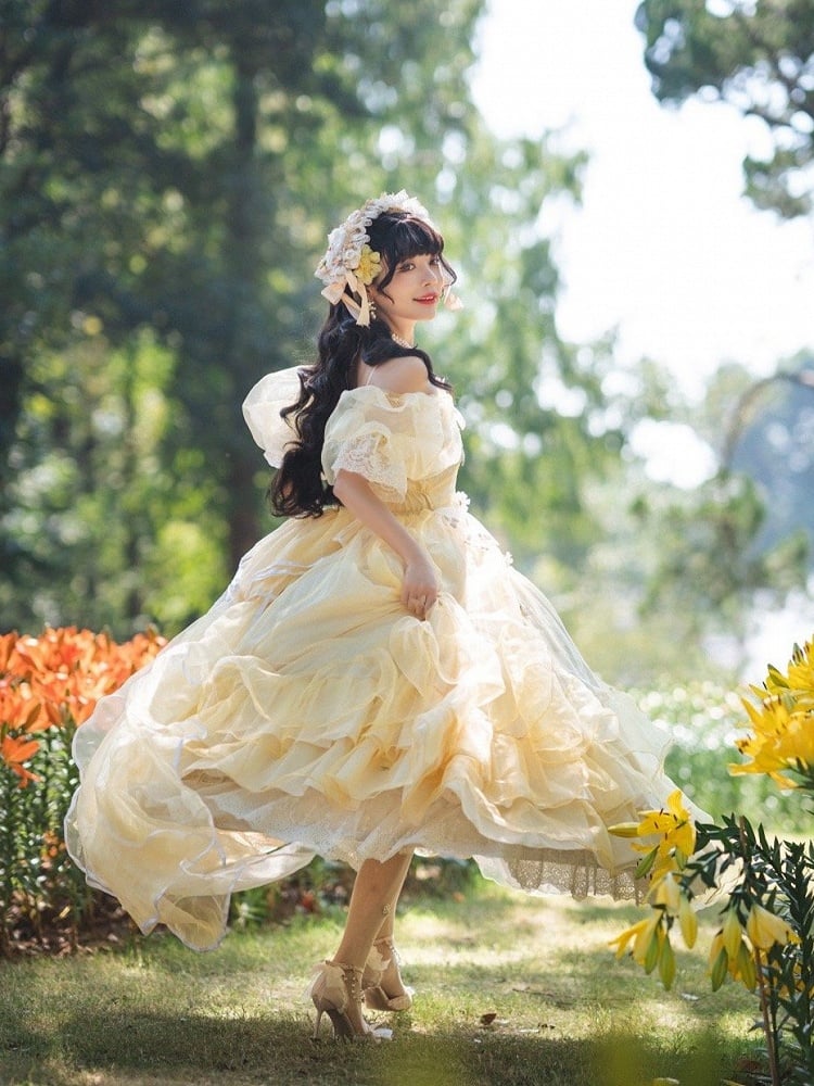 Plus Sizes Available Beauty and the Beast Vibes Floral Embroidery Princess Dress