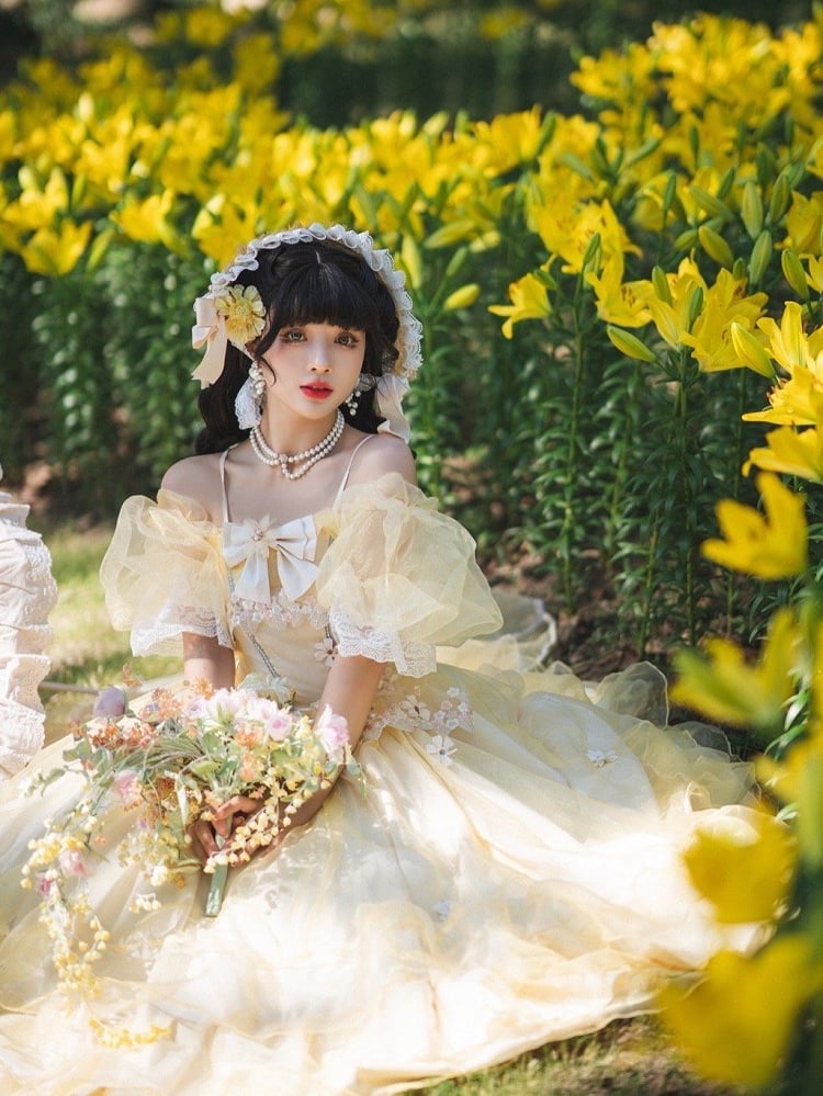 Plus Sizes Available Beauty and the Beast Vibes Floral Embroidery Princess Dress