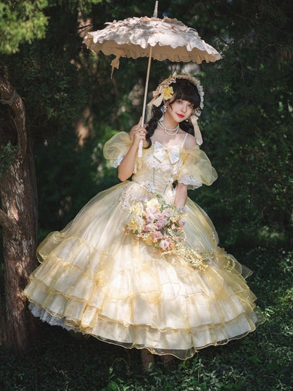 Plus Sizes Available Beauty and the Beast Vibes Floral Embroidery Princess Dress