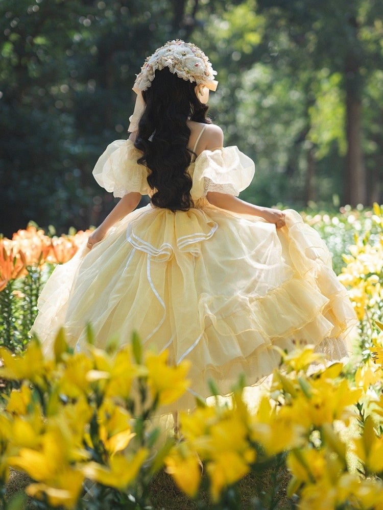 Plus Sizes Available Beauty and the Beast Vibes Floral Embroidery Princess Dress