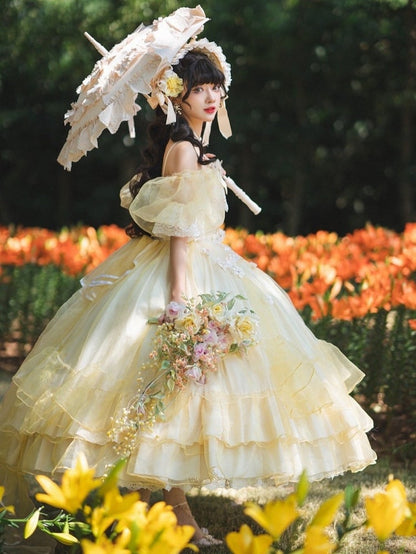 Plus Sizes Available Beauty and the Beast Vibes Floral Embroidery Princess Dress