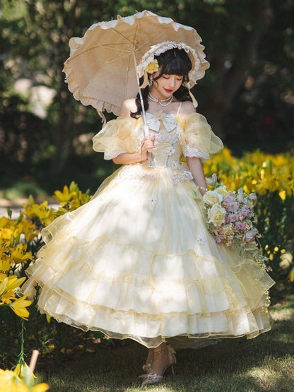 Plus Sizes Available Beauty and the Beast Vibes Floral Embroidery Princess Dress