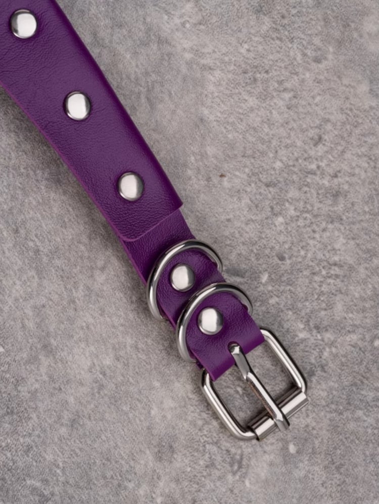 Purple Gothic Rhinestone Decorated Heart Pendant Studs Details Choker