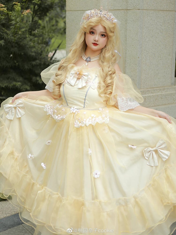 Plus Sizes Available Beauty and the Beast Vibes Floral Embroidery Princess Dress