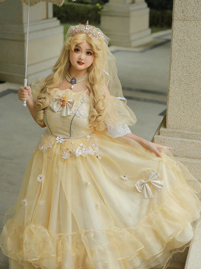 Plus Sizes Available Beauty and the Beast Vibes Floral Embroidery Princess Dress