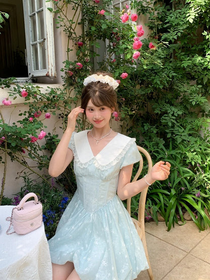 Blue Peter Pan Collar Basque Waist Allover Butterfly Embroidery Dress Bubble Skirt