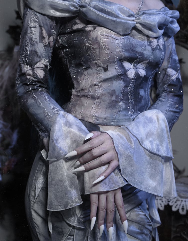 Off-the-shoulder Neckline Butterfly Print Dusty Blue Long Sleeves Top Corpse Bride Vibes